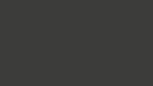 Flowcoat ESD SF41 Structure Dark Grey 281