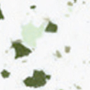 Peran WWF Verde 3113
